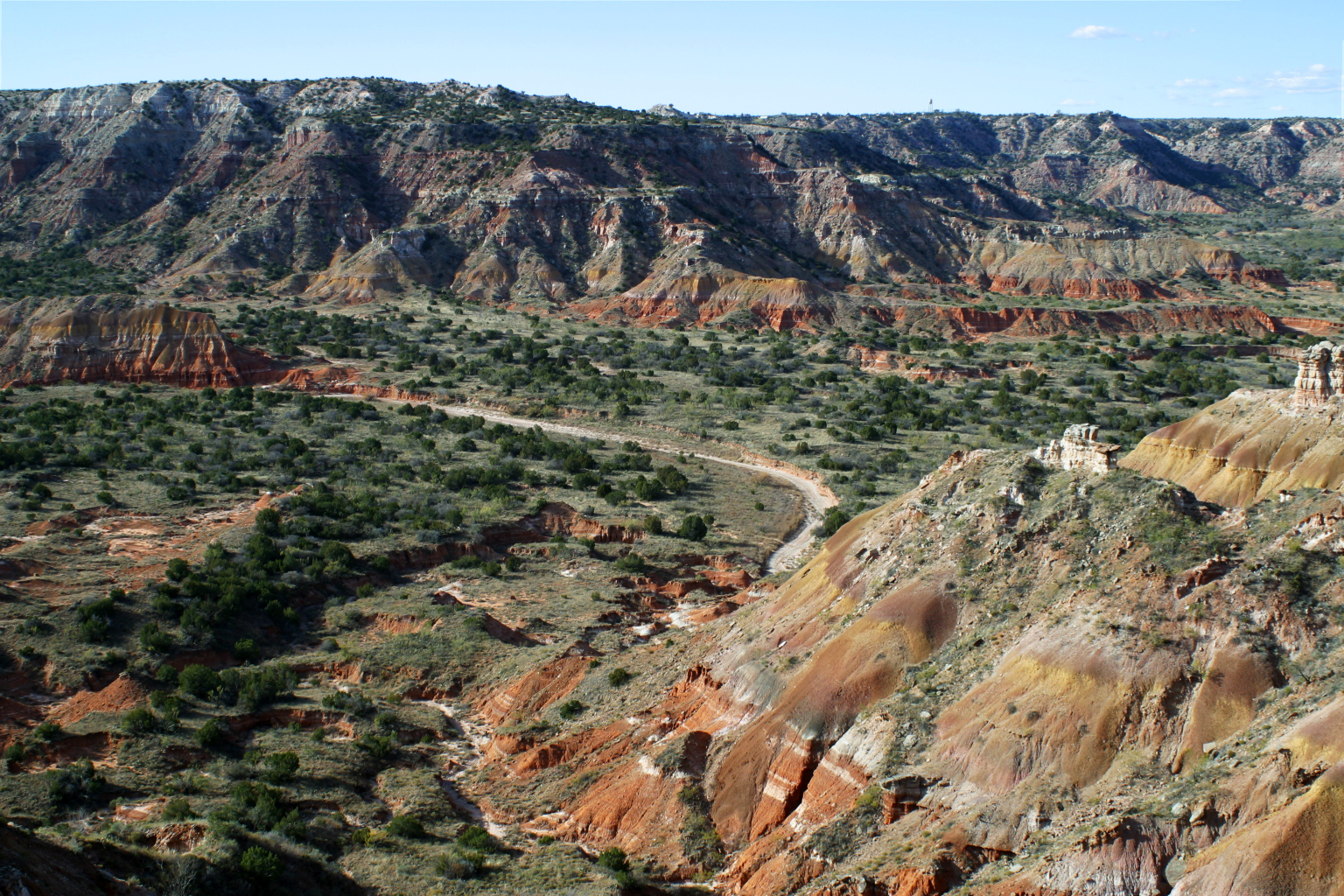 palo duro